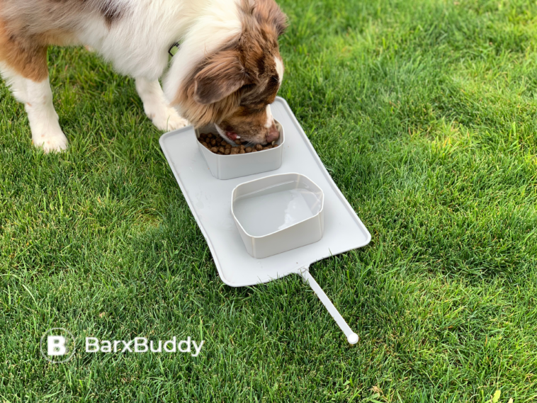 Barxbuddy Silicone Dog Bowl Review