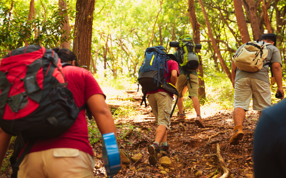 Health Secrets to a Happy Life: Lessons We Can Learn from Australians