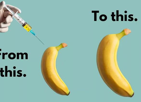 Penis Enlargement