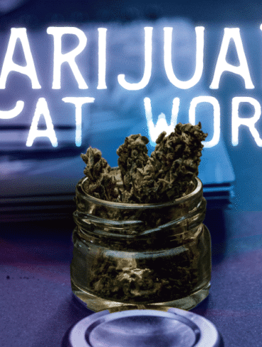 marijuana state laws