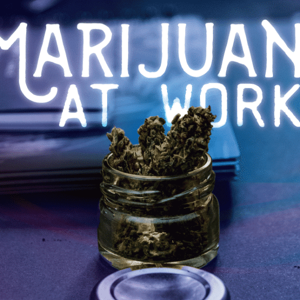 marijuana state laws