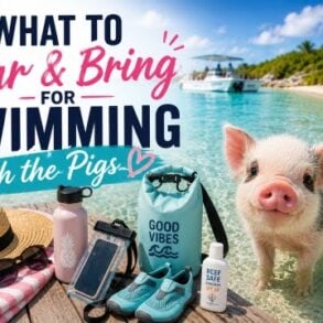 What to Wear & Bring for Swimming with the Pigs