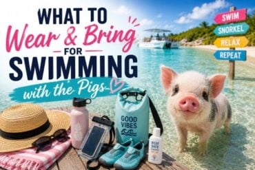 What to Wear & Bring for Swimming with the Pigs