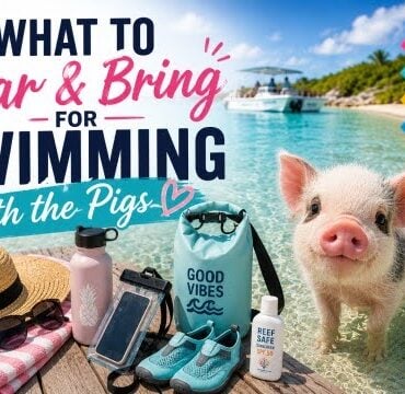 What to Wear & Bring for Swimming with the Pigs