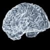 Why Stimulant Withdrawal Looks Like Nothing and Feels Like Everything
