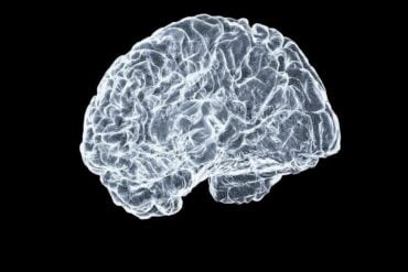 Why Stimulant Withdrawal Looks Like Nothing and Feels Like Everything