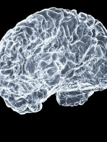 Why Stimulant Withdrawal Looks Like Nothing and Feels Like Everything