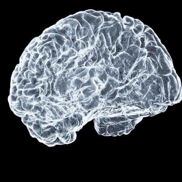Why Stimulant Withdrawal Looks Like Nothing and Feels Like Everything