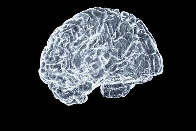 Why Stimulant Withdrawal Looks Like Nothing and Feels Like Everything